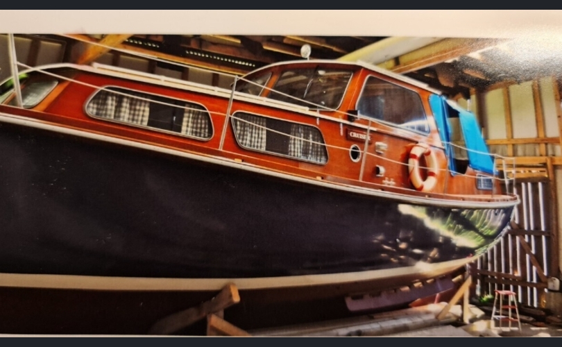 Family Cruiser Family Cruiser-kuva-3